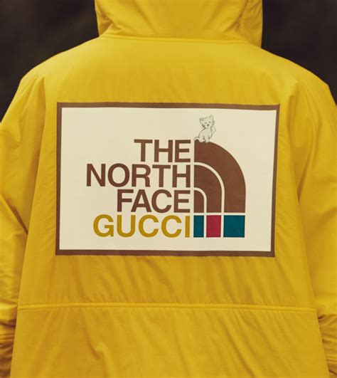 gucci x north dace|Gucci X north face tracksuit.